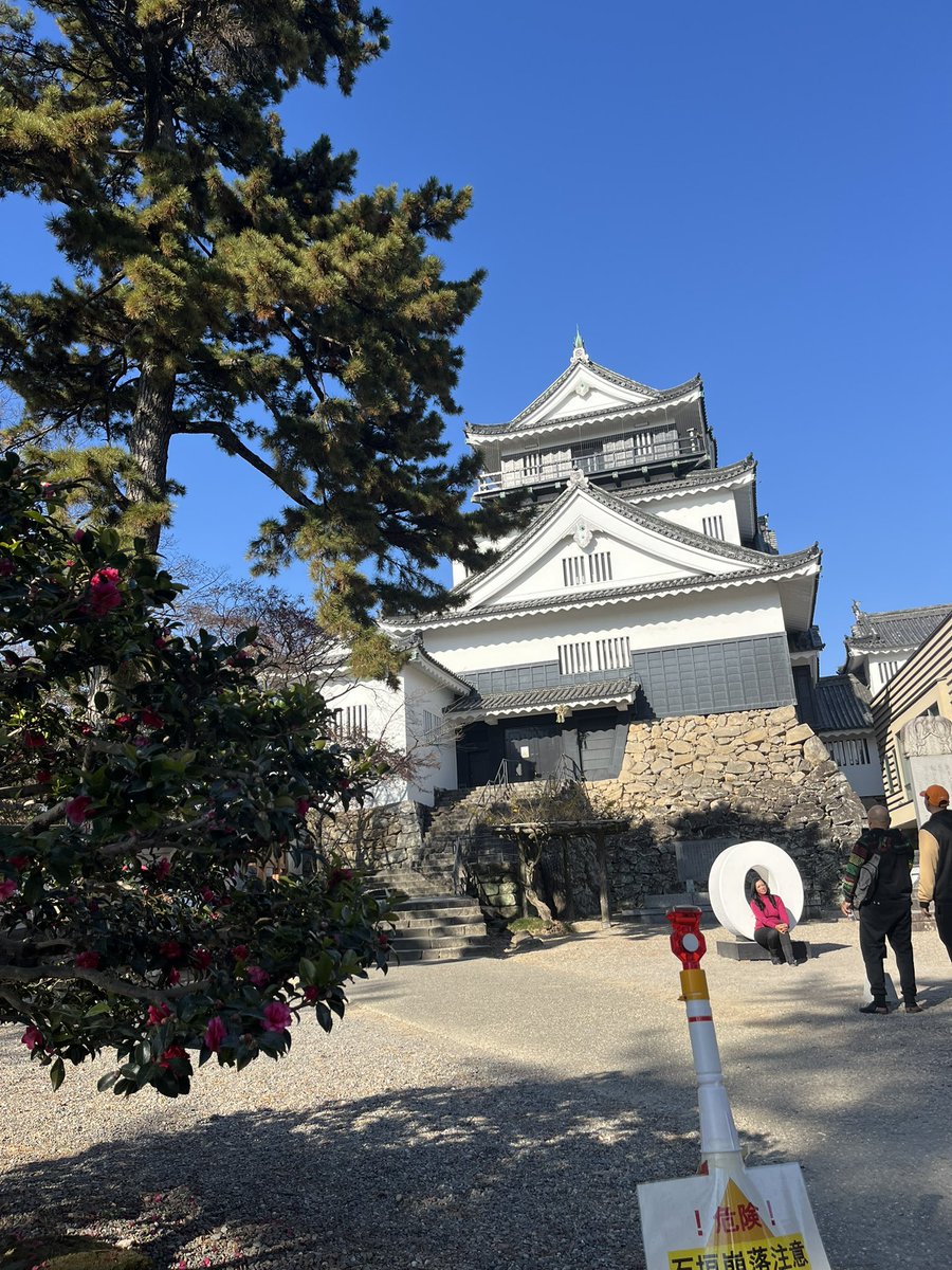 suzu3252's tweet photo. 名古屋からお家に帰ってきました！
楽しかった〜😭🌸🌸
初めてひとり旅をしましたが、すごくすごく良かった…！景色が綺麗で、300枚以上の写真を撮ってました🤭

次はどこ行こうかな〜 https://t.co/eCxrkk8568