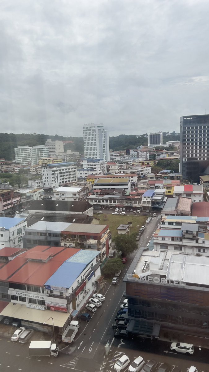 Thundersaurus91's tweet image. Seahorse City