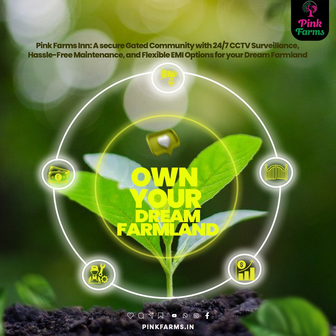 Pink Farm Pattern Pink Farms (@pink_farms) / Posts / X