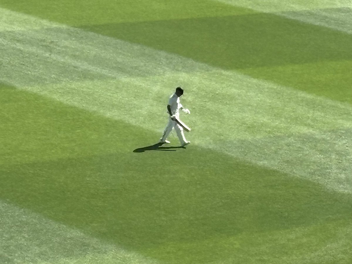 Adam Collins tweet media