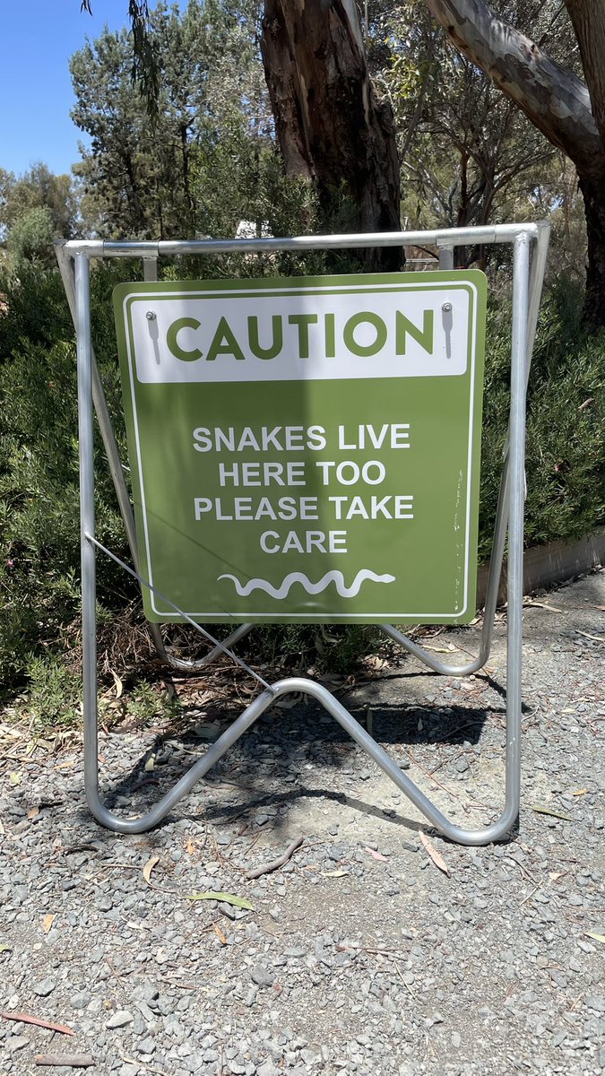 itssation's tweet image. It’s burning 🔥 🥵, also, learn how to cohabit with snakes 🐍  🤣😂