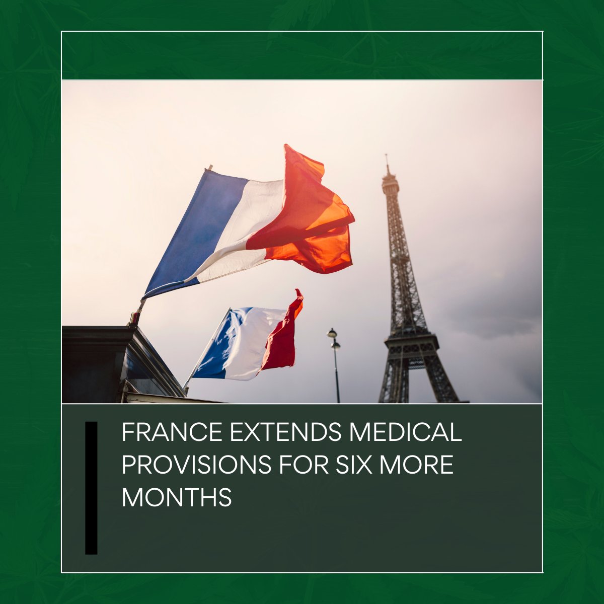 NE_CANN's tweet image. French health officials have extended the country’s experimental medical program to give patients more time to adjust their treatment plans.

Learn more here: 
ganjapreneur.com/france-extends… 

#FrenchHealth #MedicalProgram #PatientCare