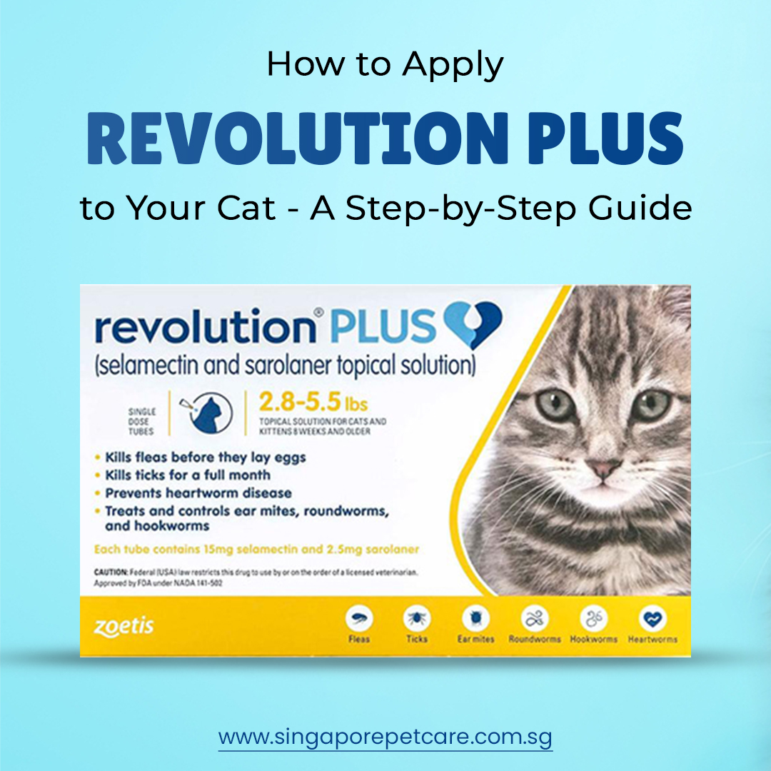 sgpetcare's tweet image. 🐾 Keeping your cat safe from fleas, ticks, and other parasites is easier than you think! 🐱

👉 Read the full guide here: singaporepetcare.com.sg/blog/how-to-ap…

#CatCare #RevolutionPlus #PetHealth #revolutionplusforcats