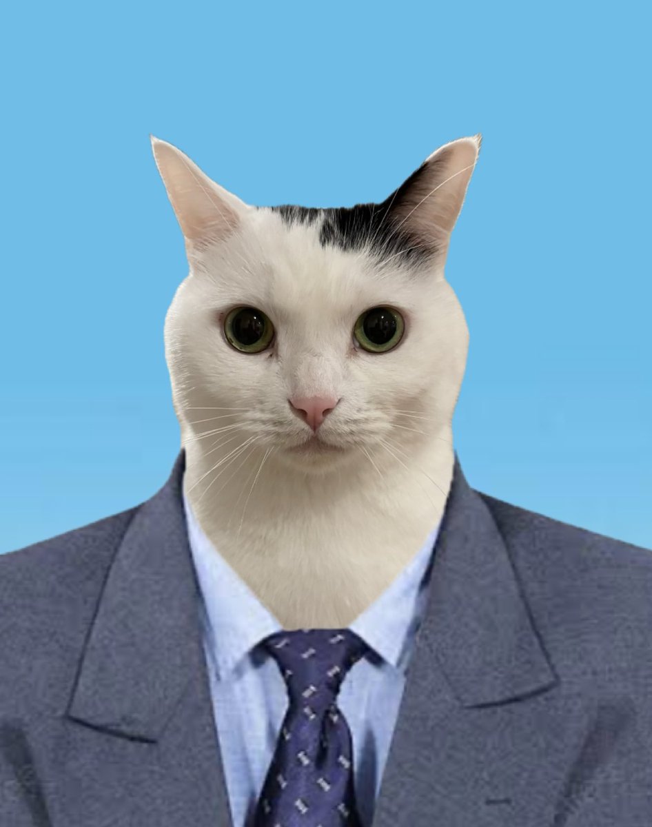 2q_oll's tweet photo. https://t.co/ugR8JNKvjT