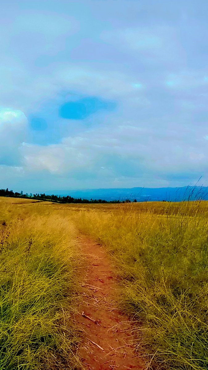 Veran Vii tweet media