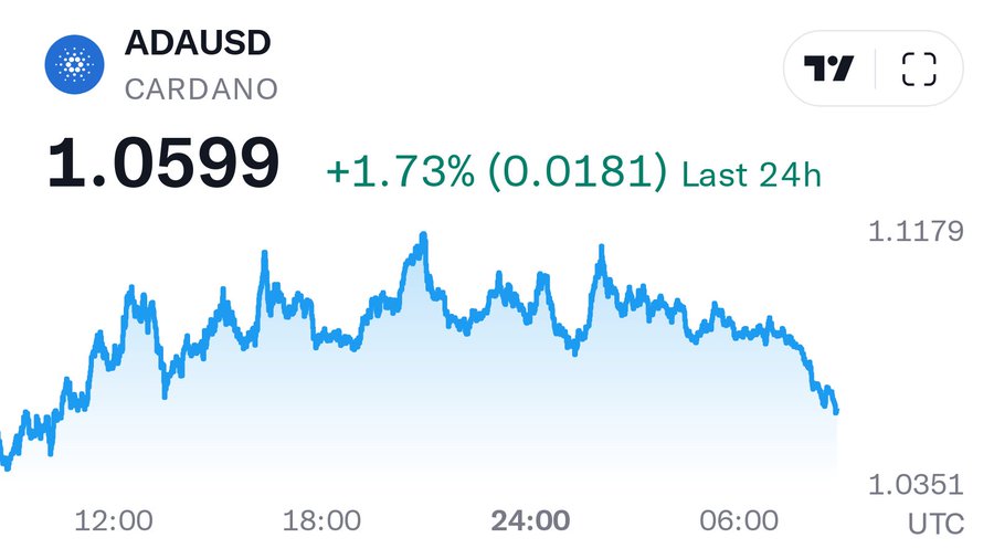 Botty 🥷 🤖 tweet media