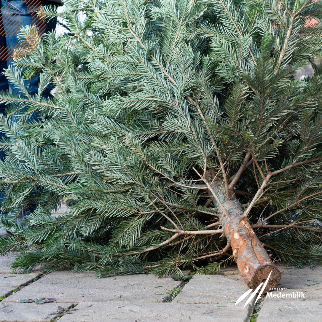 🎄De feestdagen zijn voorbij, dus de kerstboom mag de deur uit. Je kunt deze op woensdag 8 januari gratis ingeleverd worden op verschillende locaties in onze gemeente. Kinderen krijgen voor iedere ingeleverde boom € 0,50 🎉 Bekijk hier de inleverpunten ➡️
bit.ly/400OvfU