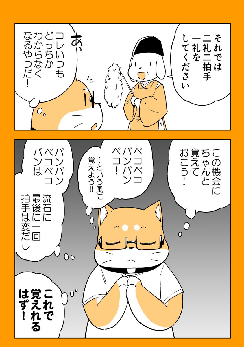3/6 