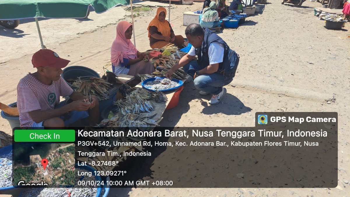 YohMariaVianei's tweet photo. Rabu (09/10/2024), Yoh Maria  Vianei Keni Bolen, Luhkan Flores Timur, di pemasar ikan An. Sauda Ahmad, asal Desa Duanur, Kec. Adonara Barat, mendata produksi ikan kering, sebanyak 20 kg, harga Rp. 20.000-60.000/Kg
#GiatLuhkanSatminkalGondol 
#Flotim #Produksi https://t.co/x10N7MMklw