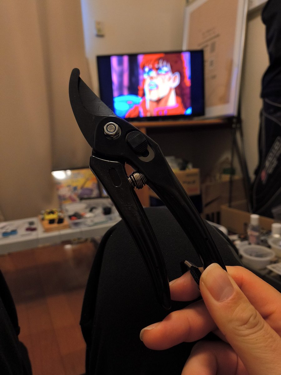 FRPぐらいなら何とかなるのでは？と思い、100均の枝切り鋏買った

使えたら細かいとこは無理でも、非力なリューター使うより時短になるかも？