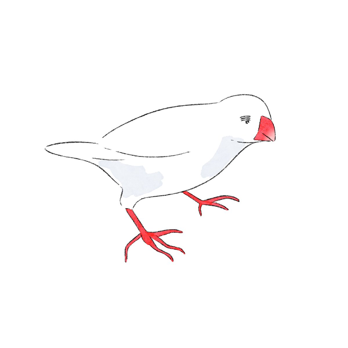 とり
#illustration #イラスト