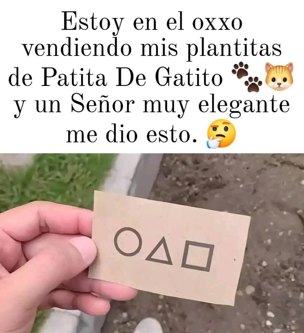 JcrosasG's tweet photo. 🐾✨️🌿🪴🌵🐱

$ 50 pesos la patita de gatito 🐱🐾 https://t.co/TFG8CmnJur