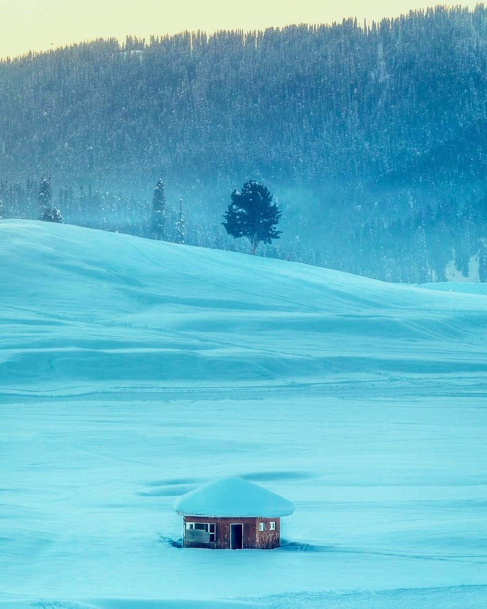 sarcastickshmir's tweet photo. No winter lasts forever; no spring skips its turn.
.
.
"Wande tzale. Sheen gali. Beyi yi bahaar"
⤵️
(winter [will] flee, Snow [will] melt, Again [will] come spring) https://t.co/EiBeEv9Vxx