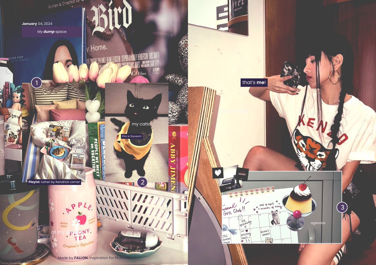 ‏‌ً tweet media