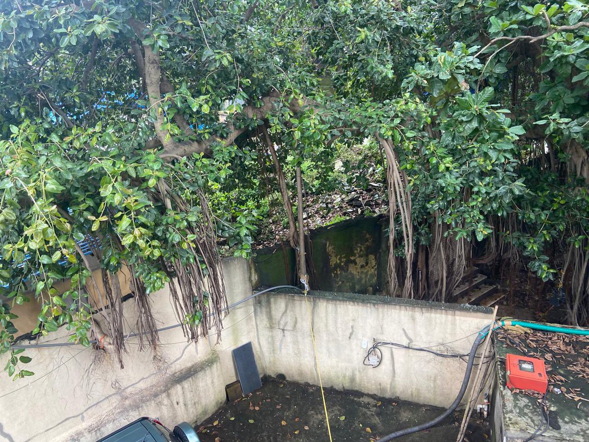 MullanTaronish's tweet photo. @mybmcWardD @zoru75 I have been complaining to BMC D ward since so many weeks to clear garbage behind Suraj Bldg Tardeo road but nobody is bothered. This is causing mosquito infestation and affecting health. No action taken https://t.co/6xtcCljeJC