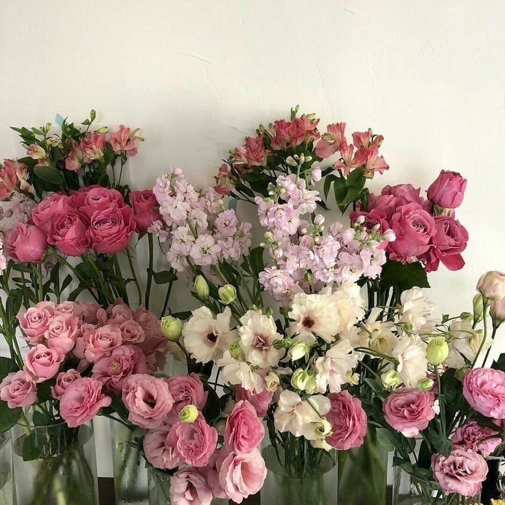 scarlettwants's tweet image. flowers to make my day &amp;lt;3