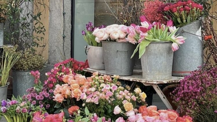 scarlettwants's tweet image. flowers to make my day &amp;lt;3