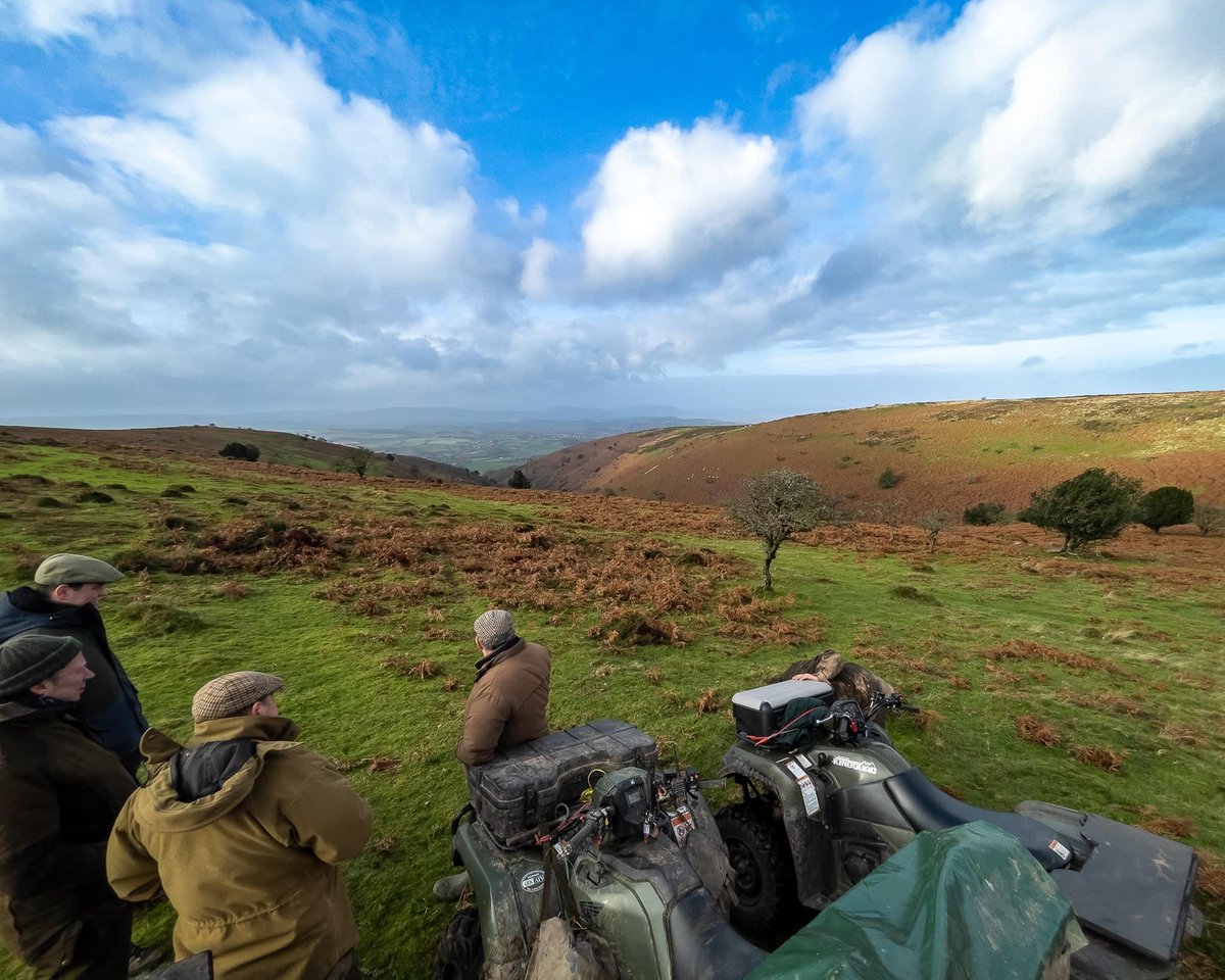 lurcherwork's tweet image. #foxhound #hound #keephunting #followhounds #workingdogs