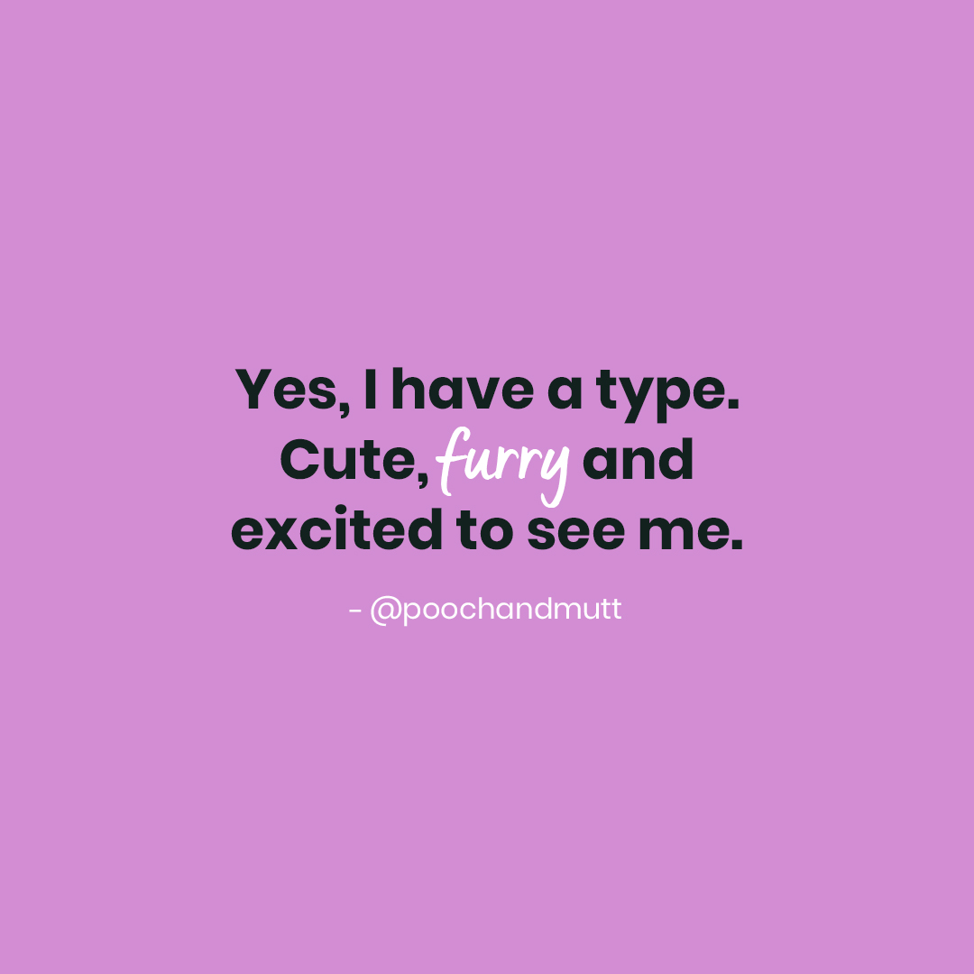 You mean to say there's other 'types'? 🤯⁠⁠
⁠
#PoochandMutt #DogQuotes #DogQuote  #Meme #Quotes