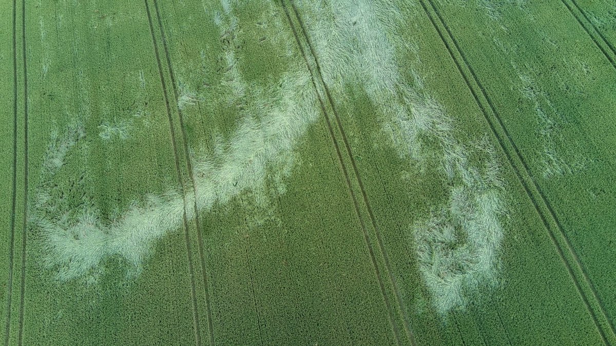 Am 18.06.2024 zogen mindestens drei #Tornado⁣s durch Südniedersachsen. Mithilfe von Drohnentechnologie und Orthomosaiken wurden die Auswirkungen präzise dokumentiert und analysiert. ➡️ Mehr zu den neuen Methoden und den daraus entstandenen Erkenntnissen: torkud.de/dok-analyse-to…