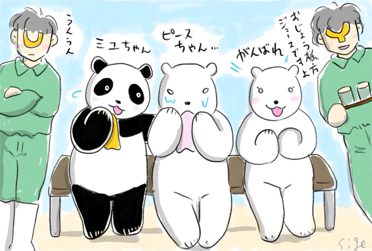 お嬢様方、しろくまピース鑑賞会🐼🐻‍❄️🐻‍❄️✨ 年を重ねるピース