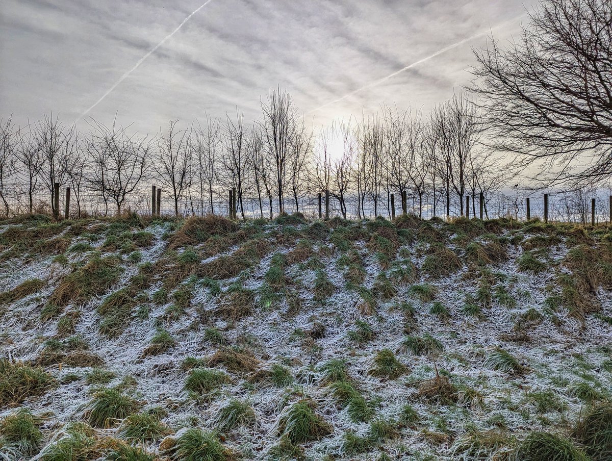 James8209100's tweet photo. Hazy #winter sun over Rickerby Park in Carlisle. Air temp 3⁰c with frozen ground 🥶 #cumbria #loveukweather #ukcold https://t.co/YwSbpE3KOt