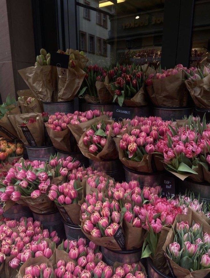 Tulips