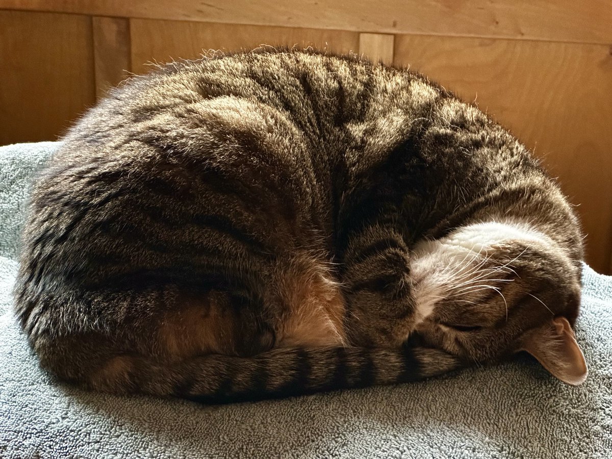 Jo Hackl tweet media