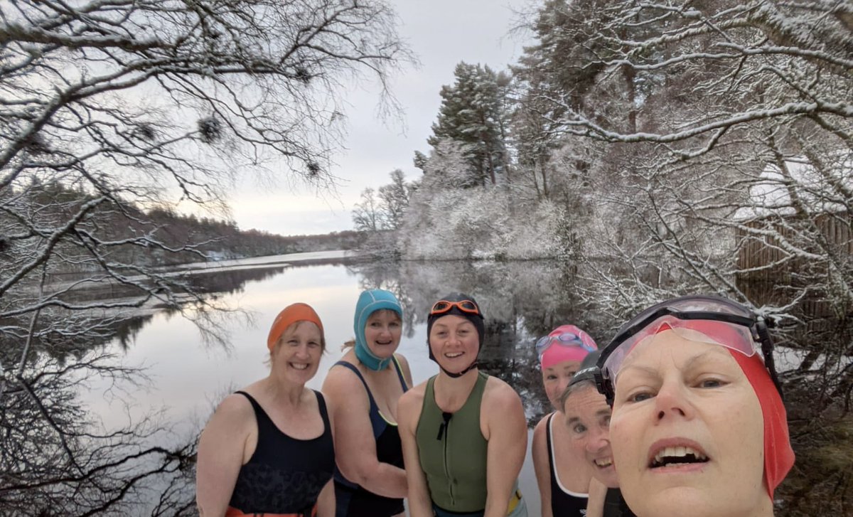 Elizabeth McDonald tweet media