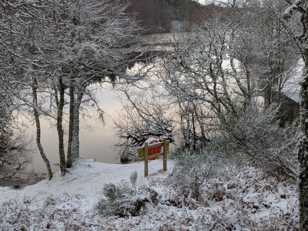 Elizabeth McDonald tweet media