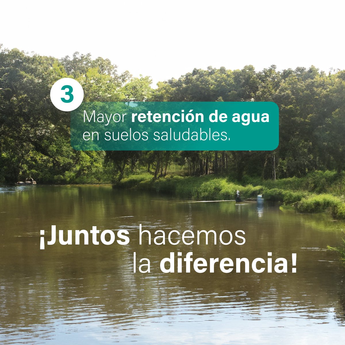 En la ganadería sostenible, cada gota cuenta. 
🐄 💧 🌳 

En Colombia, cada vez más, los ganaderos implementan prácticas responsables que optimizan el uso del agua, protegen las fuentes hídricas y garantizan la sostenibilidad de los ecosistemas. 

El agua es vida, cuidémosla