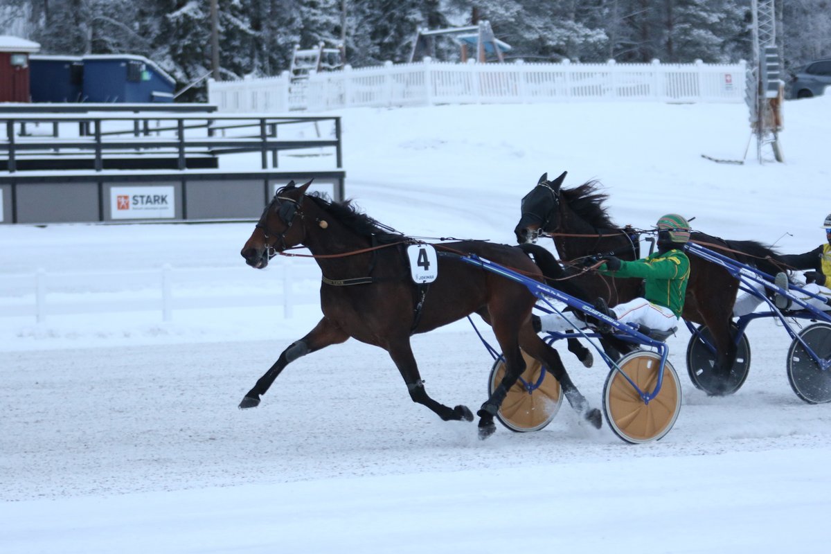 RW Harness - Tammadivisioonakarsintalähdön voittaja 
Goldas Love ja Jukka Torvinen
#ravit #jokimaanravit #lahti