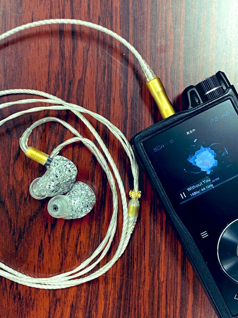 イヤホン・ケーブル・DAP、ビジュアルがベストマッチすぎる。 もちろん