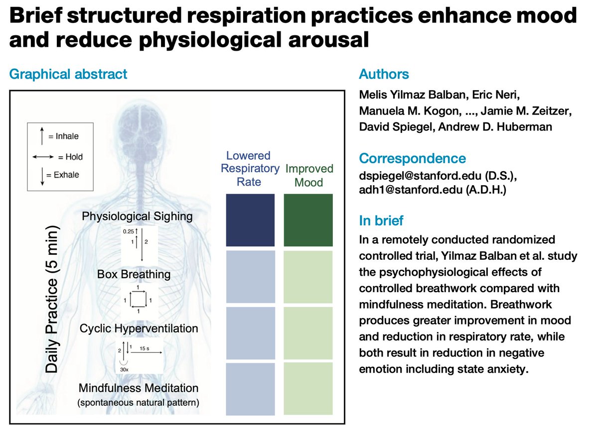 6/9) In the below, linked newsletter I offer 3 tips. Here, I'll focus on one: The "Physiologic sigh," which you can apply in just 5 minutes per day

🫁This is a structured breathing method characterized by two stacked inhales, followed by a long exhale (1.0s inhale, 0.25s inhale,