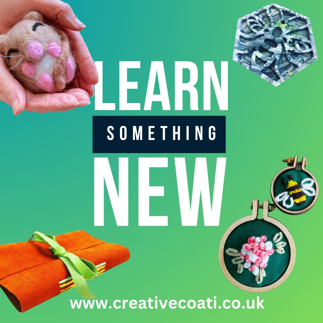 Creative Coati tweet media