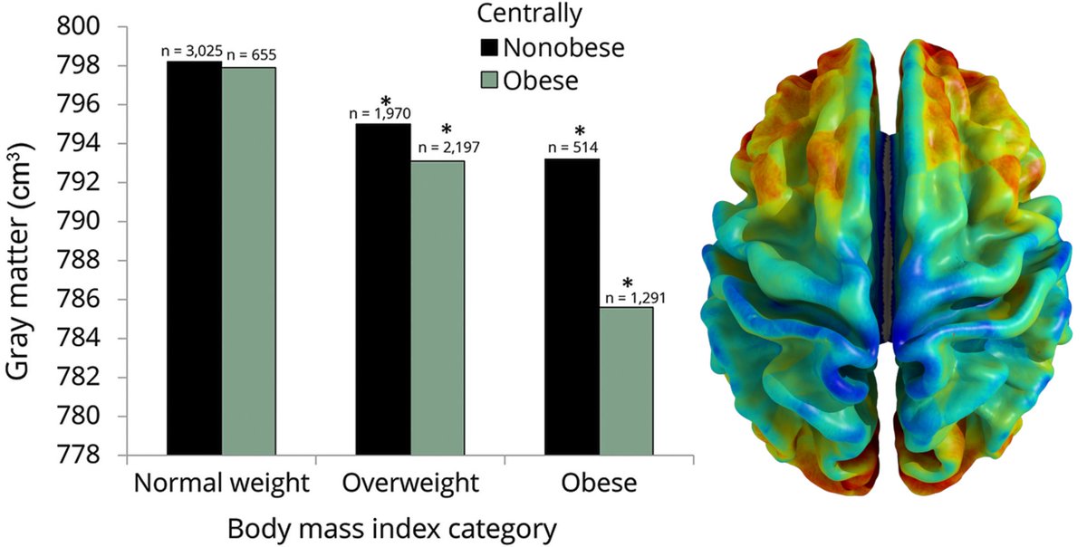 NTFabiano's tweet image. Central obesity is associated with a smaller brain.

🧵1/9