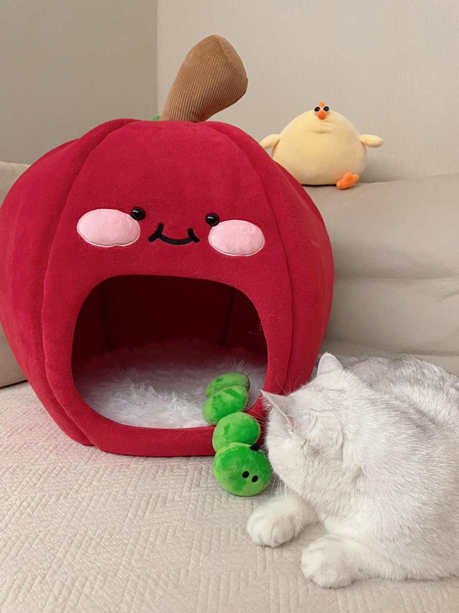 子猫を作るのはいいですね。毎日寝るか寝る準備をしています。アルバイトでお金を稼ぐ必要はありません。太っていてかわいいと自慢する人もいます