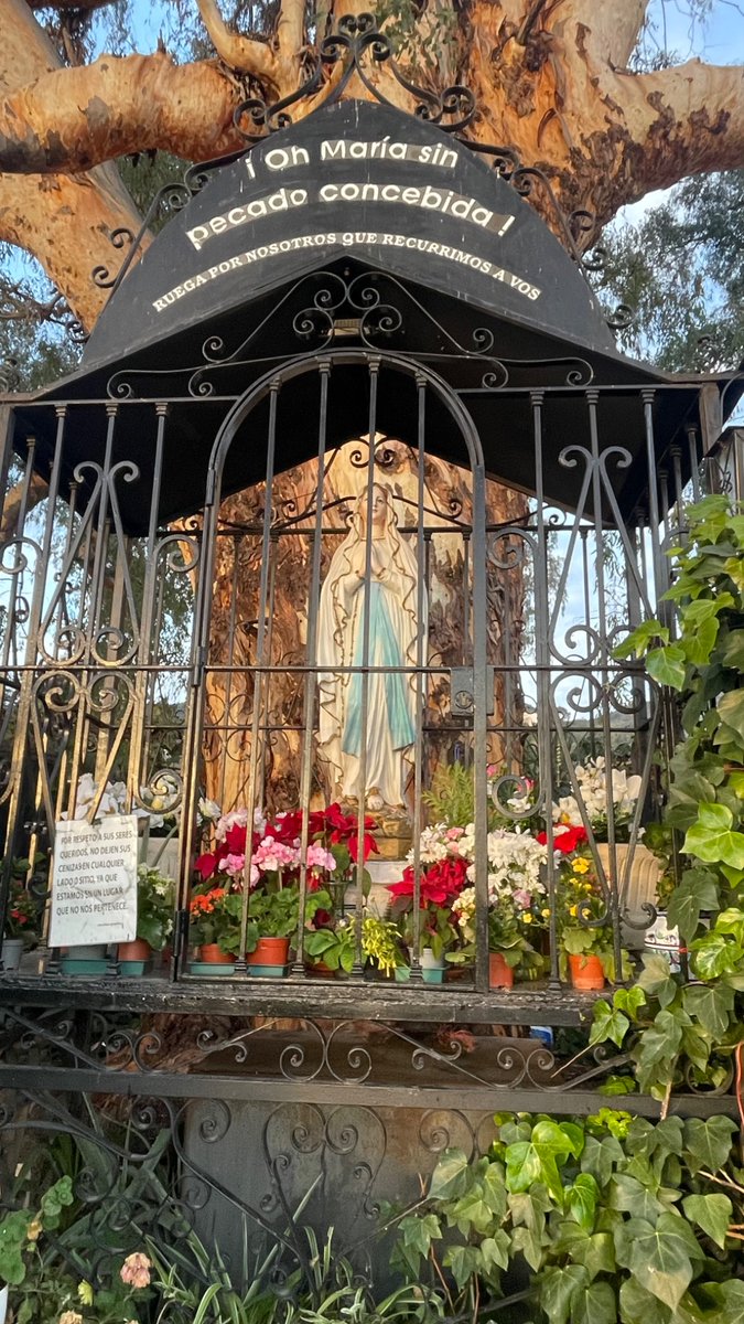 ¡Inmaculado corazón de María, en vos confío!
¡Oh dulce Corazón de María, sed la salvación mía!