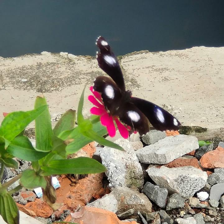 Suami Adalah Ujian Bagi Istri..
Dan Istri Ujian Bagi Suami..

Inilah Inti Dari Ujian Dunia..

Masing" Kita Adalah Ujian Bagi Yang Lain, Karena ALLAH Ingin Melihat Siapa Dari Hambanya Yang SABAR Ketika Diberi Ujian.

بارك الله فيك..