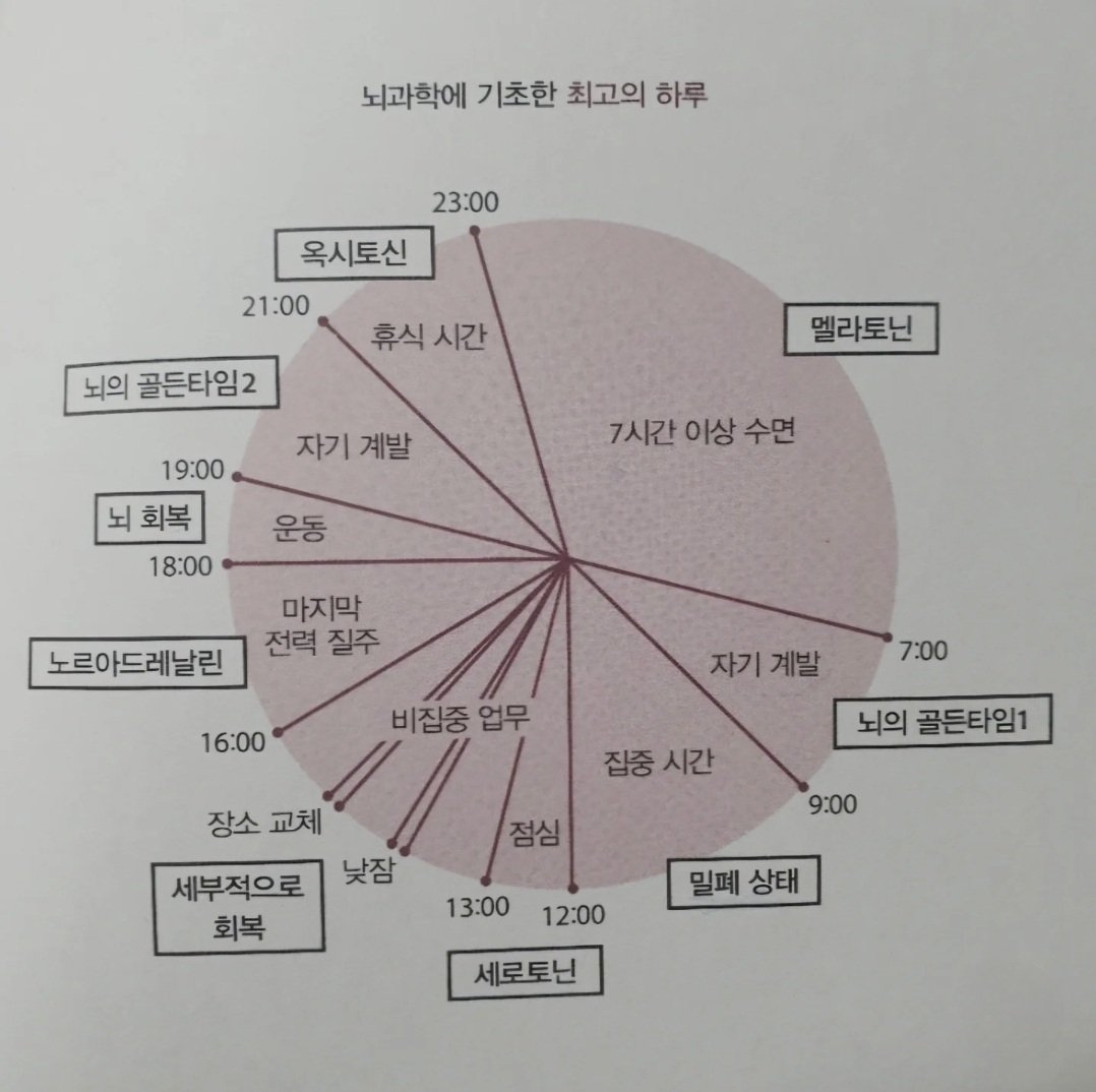 superwriter123's tweet photo. 뇌과학에 근거한 최고의 하루라고 합니다. 뇌의 골든타임이 참 인상깊네요.

출처: 신의 시간술, 가바사와 시온 https://t.co/YwLKy9zFBu