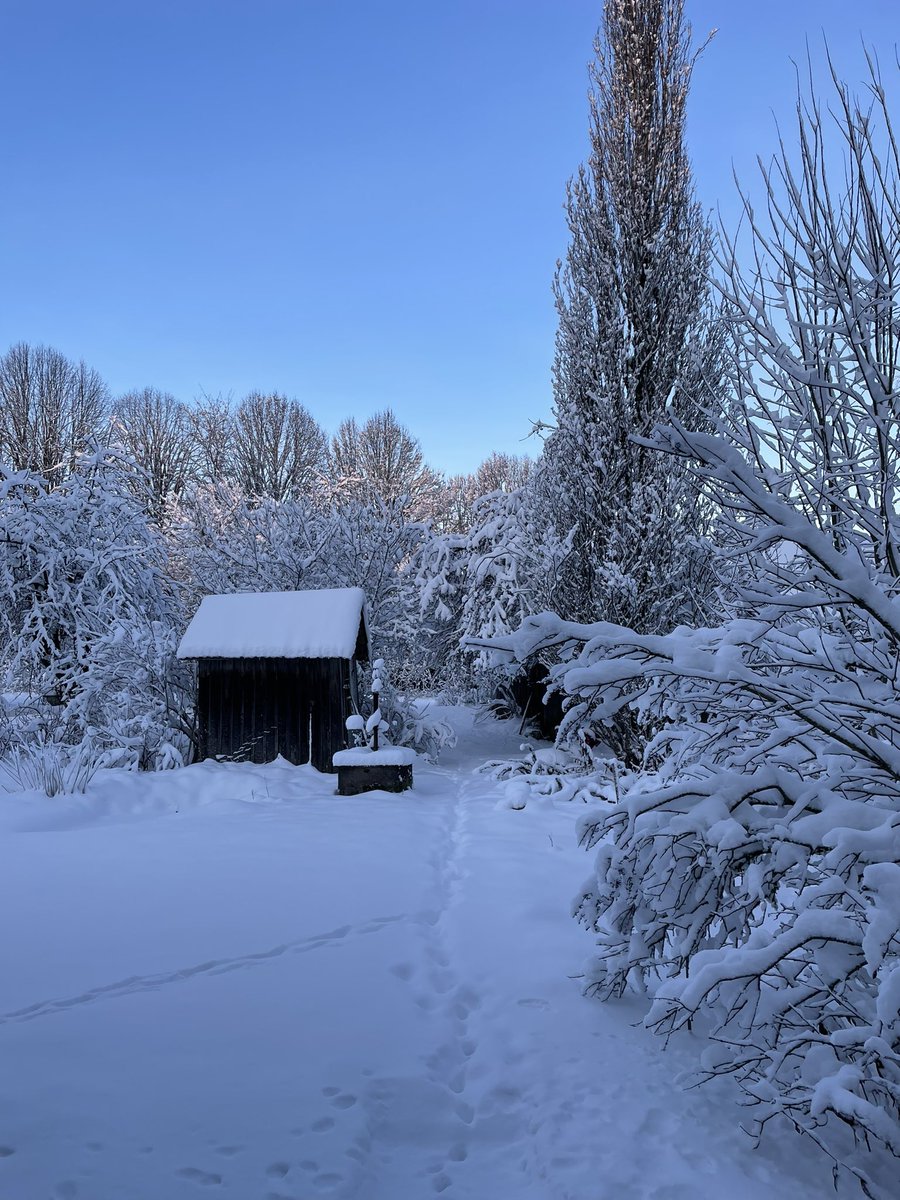 maaelu võlud: kui hommikul ahi köetud ja lumi roogitud, siis päev juba kordaläinud ja muud nagu ei peagi tegema.