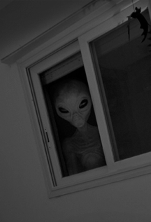 ufobot (@ufob0t) on Twitter photo 