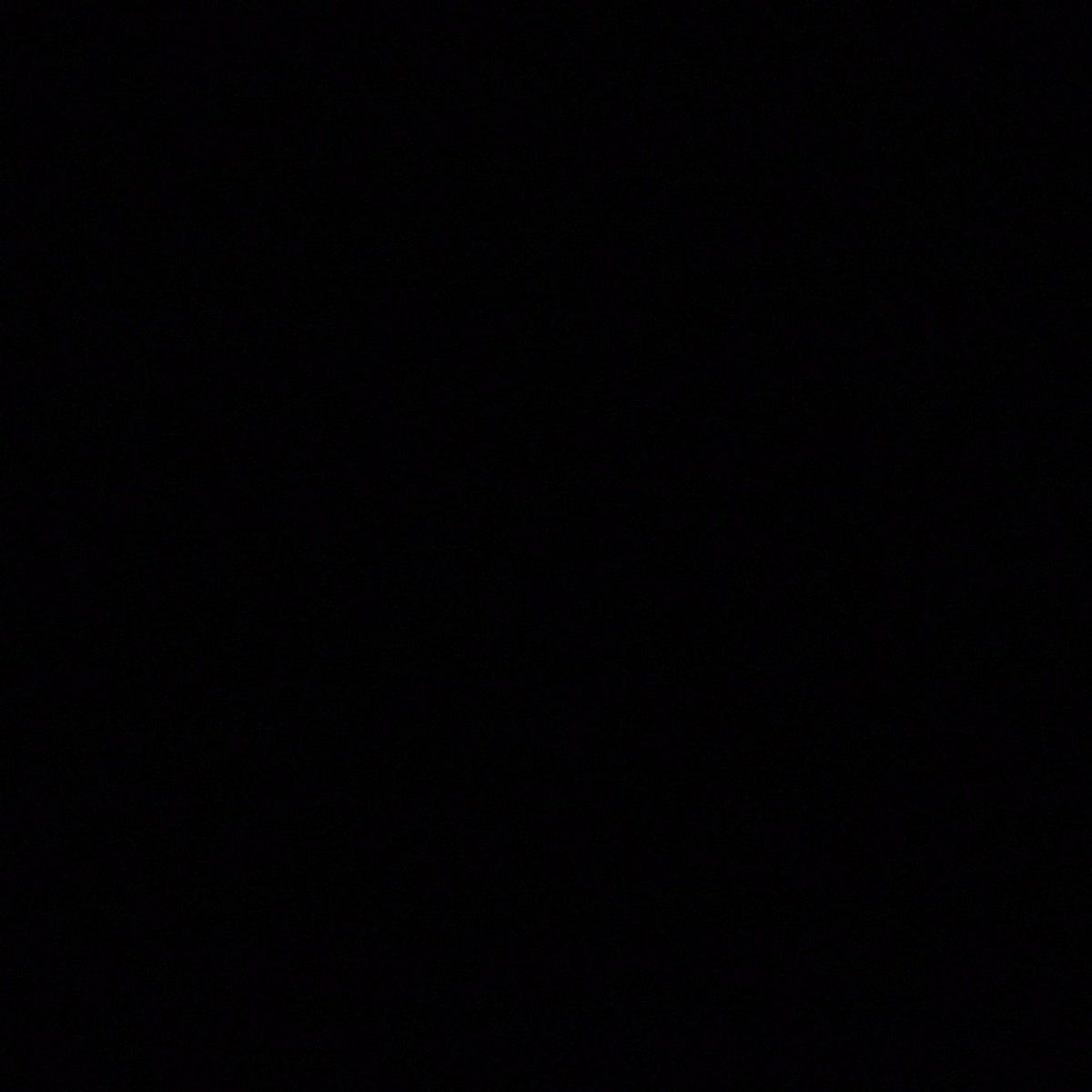 Elon is a wanker tweet media