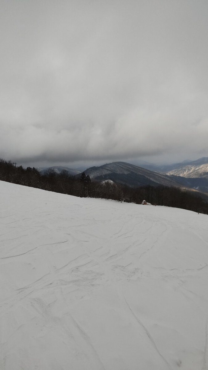taroo_winter's tweet photo. 恐羅漢。
朝の深入山あたりの191ツルツルだったのは既視感なのだけど、やっぱりライブカメラとかみて早めのチェーンしとかないと…後続車困ってた…
赤子がいるので、何本か滑って即撤収( TДT) https://t.co/JltLX6cz9S