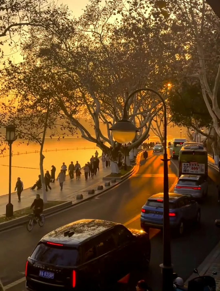 乘锋破浪 Sigma 💹 tweet media