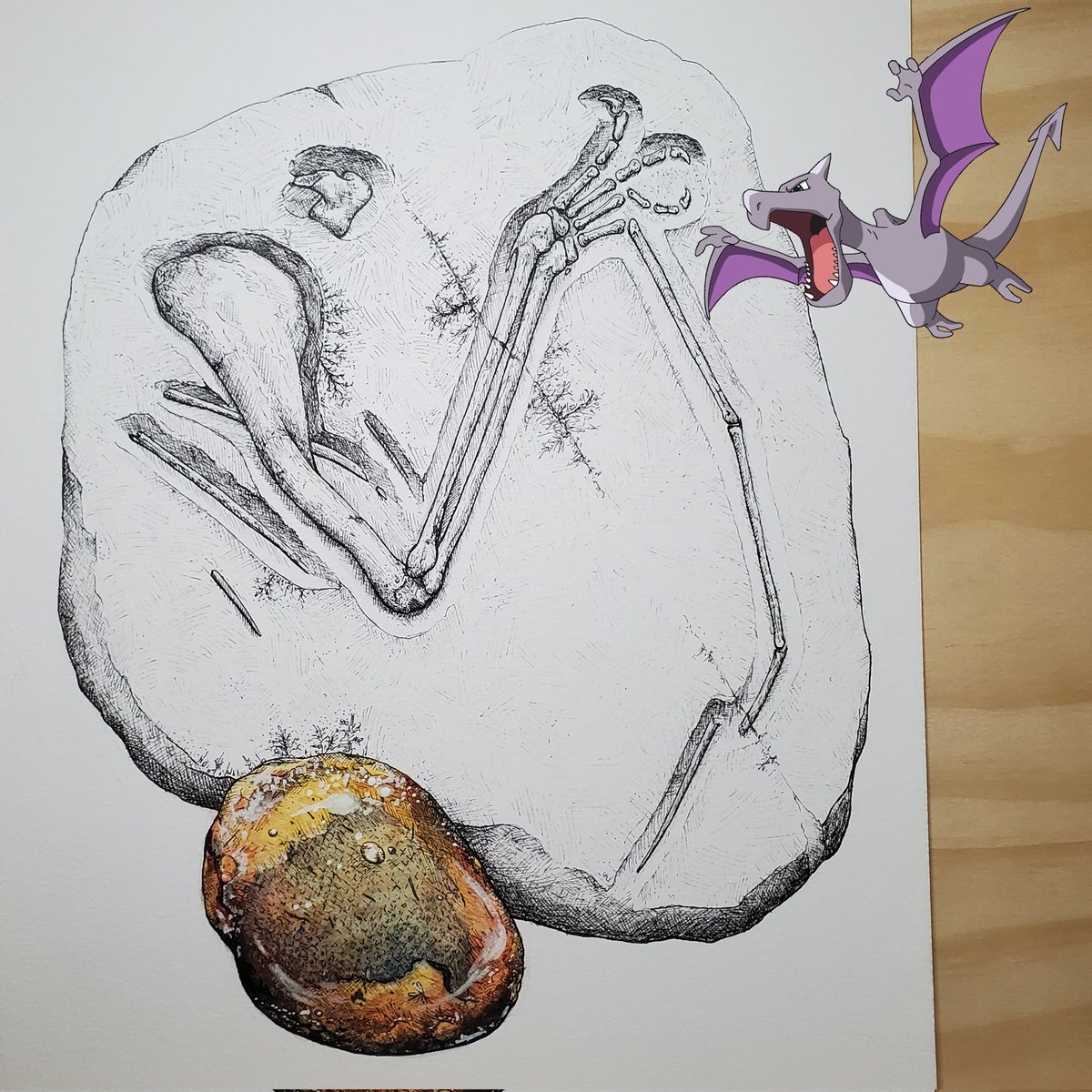 Ekhyl - Wildlife/Paleo Illustration tweet media