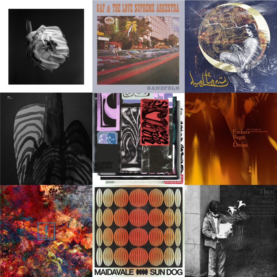 L'illa dels monstres tweet media