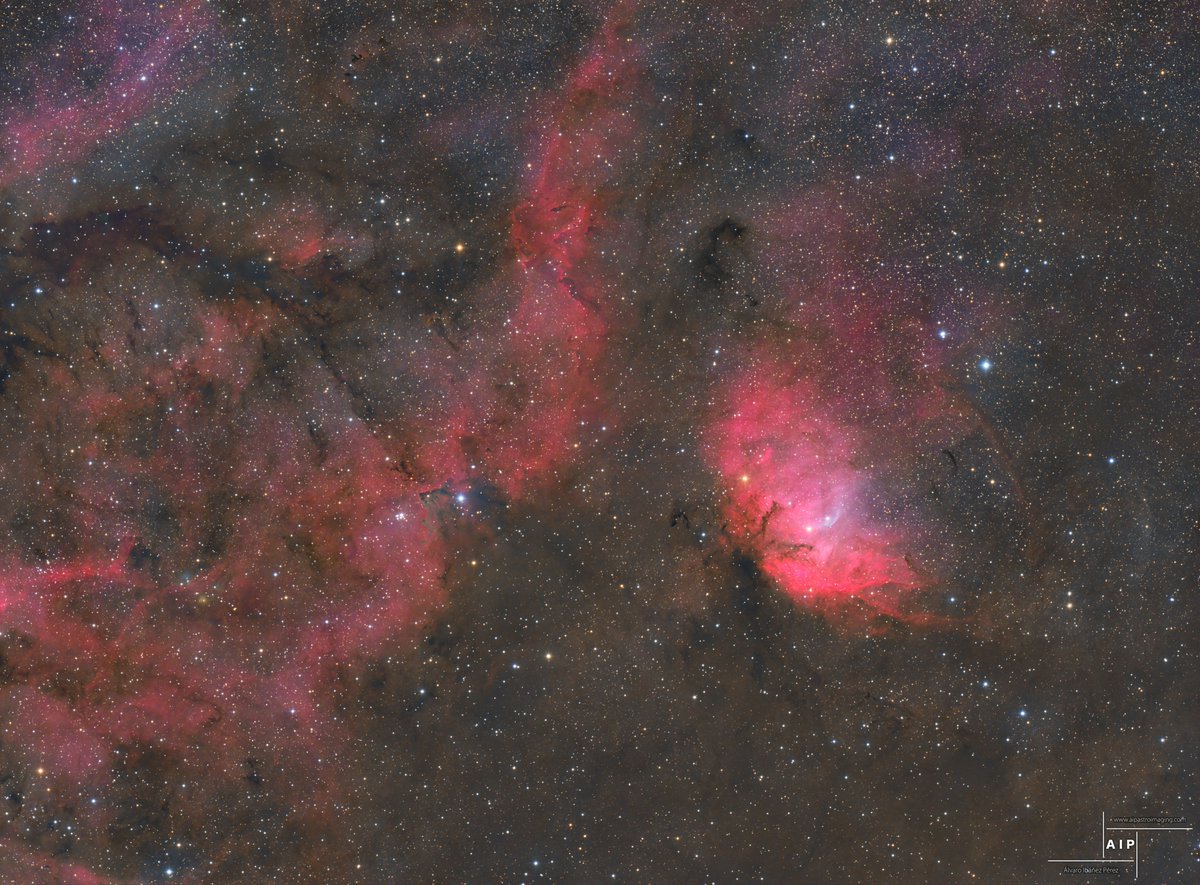 Nebulosa del Tulipan en HaLRGB.
 
Son 70h de exposicion total.
Es una fot que tenia hace tiempo en la recámara.
Esta zona no suele verse mucho en banda ancha ya que casi siempre se fotografía en banda estrecha.
Espero que os guste!!

En grande: aipastroimaging.com/wp-content/upl…