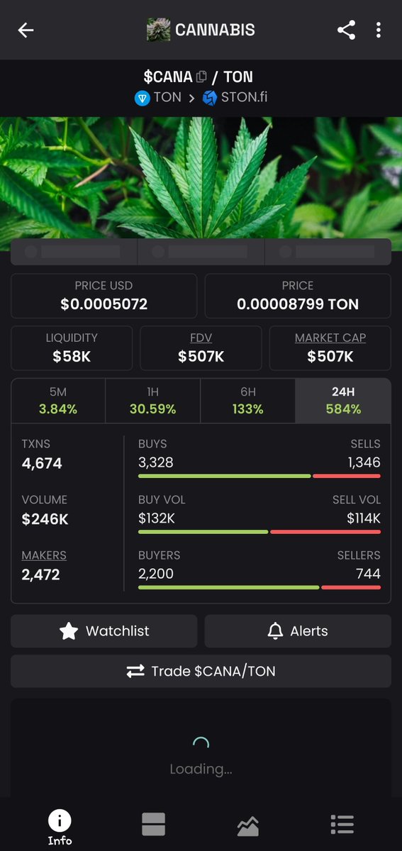 Congratulations $CANA community for smashing 500k MC... 🚀💎