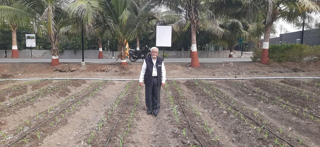 BDJade1's tweet image. अब चर्चा तो होगी !
चर्चा मे है मक्का फसल !!
सारी ओर मक्का है चर्चा मे...
किसानोंकी उम्मीद !!!
मक्का उपज १०० कुंतल प्रती एकड |
जुडीए हमसे और जानीए बहुत कुछ|
- डॉ.बी डी जडे, 
वरीष्ठ कृषी वैज्ञानिक,
जैन इरीगेशन सिस्टीम्स लि.
#AjitJisl #Anil_JISL #JainIrrigation 
#DDKisan #DDSahyadri